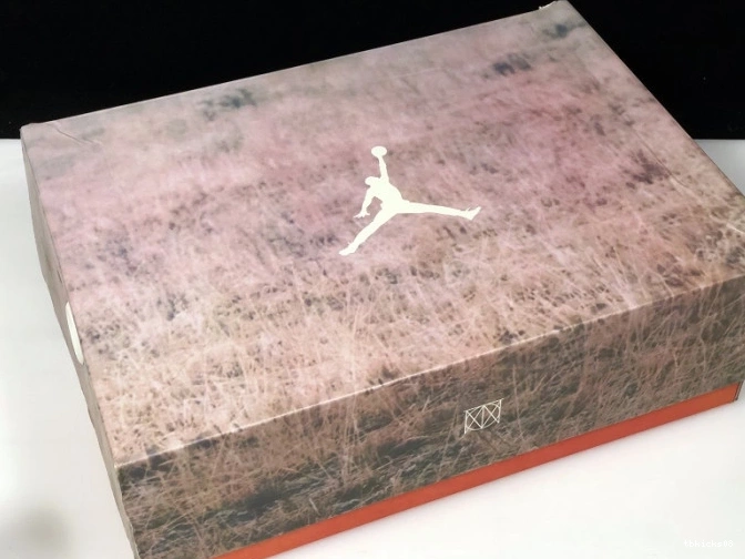 Reps TBkick Beige Air Jordan Bio JTH AV6683-200 3 0823